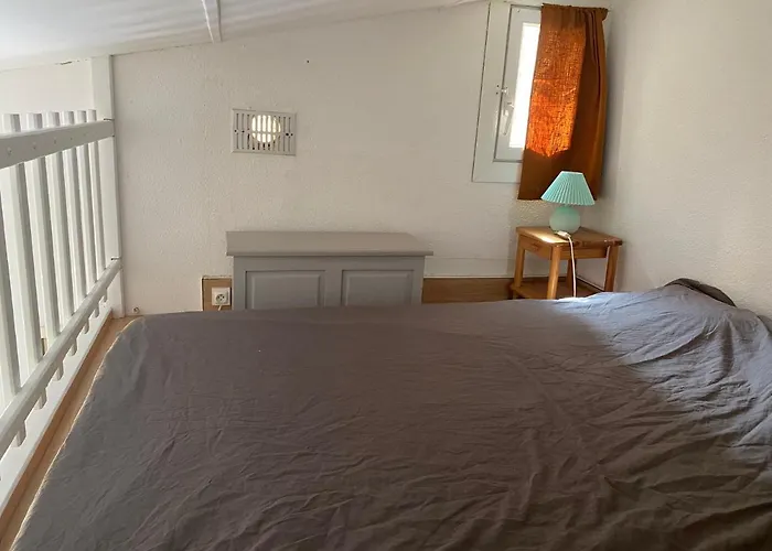 Apartman Joli Mezzanine Avec Parking Et Wifi La Roquille