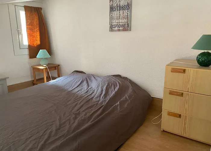 Daire Joli Mezzanine Avec Parking Et Wifi La Roquille *